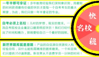 强强联手，共筑数字传媒新生态 战略合作方案与技术转让新篇章