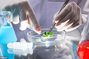 高新技术企业技术转让对外投资税收优惠政策解析